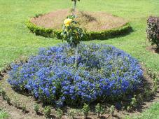 Сад Шалимар Багх в Шринагаре