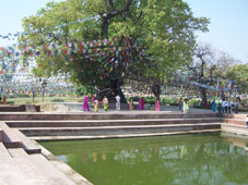 Пруд Пушкарини