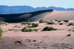 Пустыня Гоби